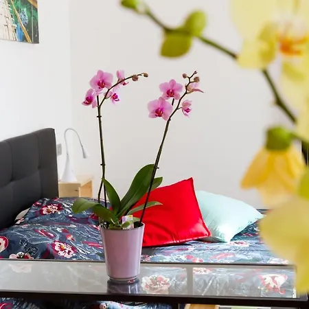 Casa Mazzini 4* ורונה